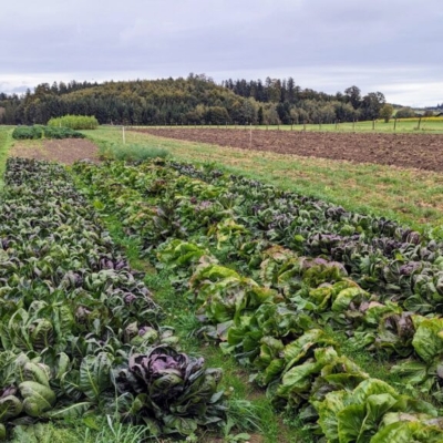 Vielfalt und Abwechslung