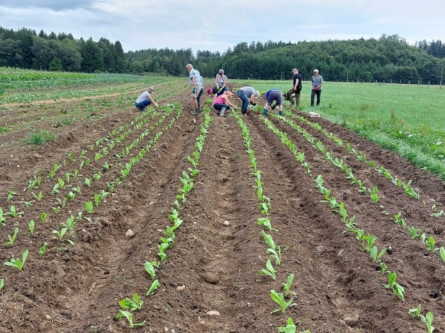 Jeder kann beim Pflanzen mithelfen. Durch Austestung verschiedener Pflanzmethoden machen wir uns resilient gegen Starkregen. Copyright: walter-kunert