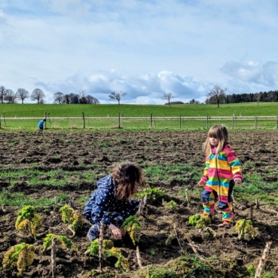 Ohne Pestizide und Gifte