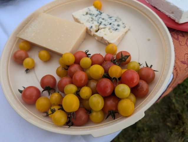 Die allerletzten Tomaten von unseren Sträuchern bereichern die Käseplatte. Copyright Eva Weigell